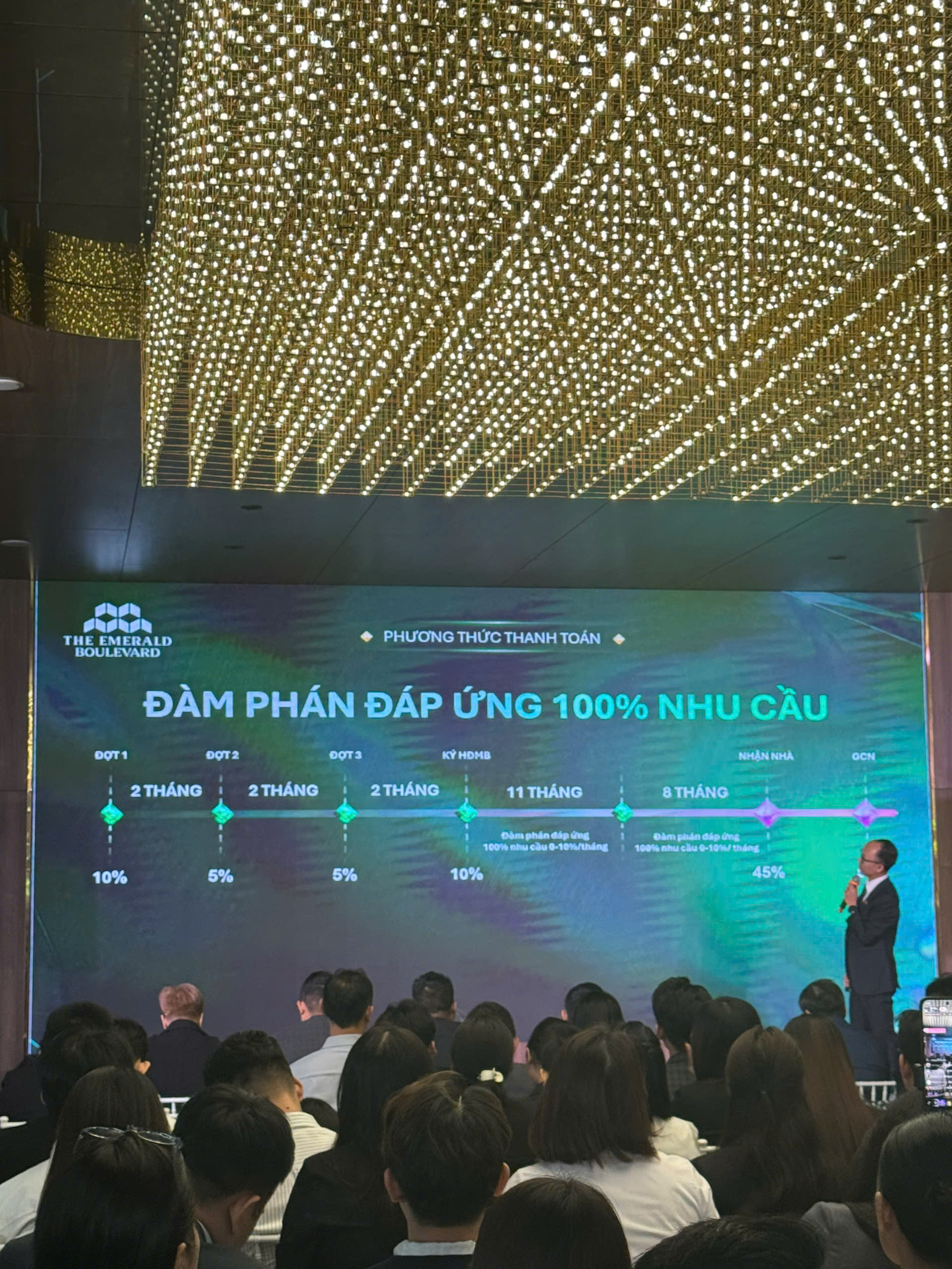 Chính sách dự án the emerald boulevard 1